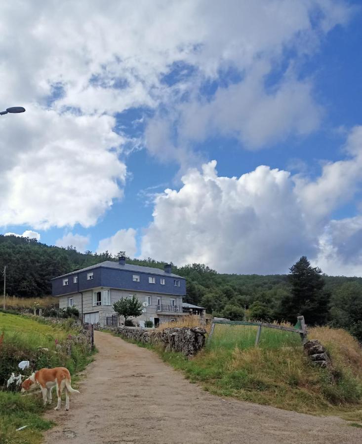 Vista Estrelada Holiday home *