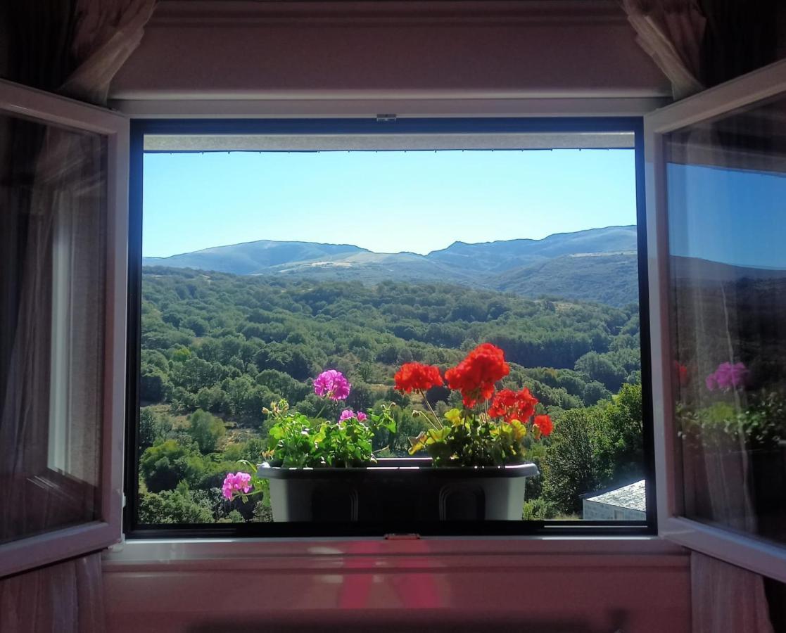 Vista Estrelada
